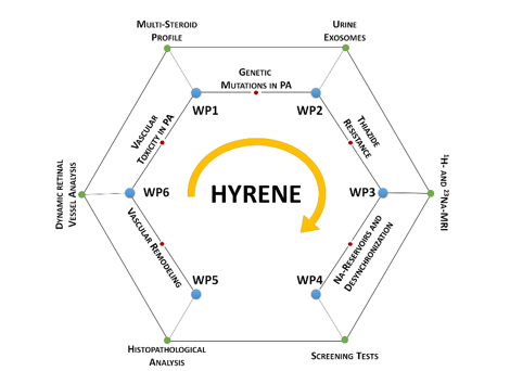 HYRENE Work packages